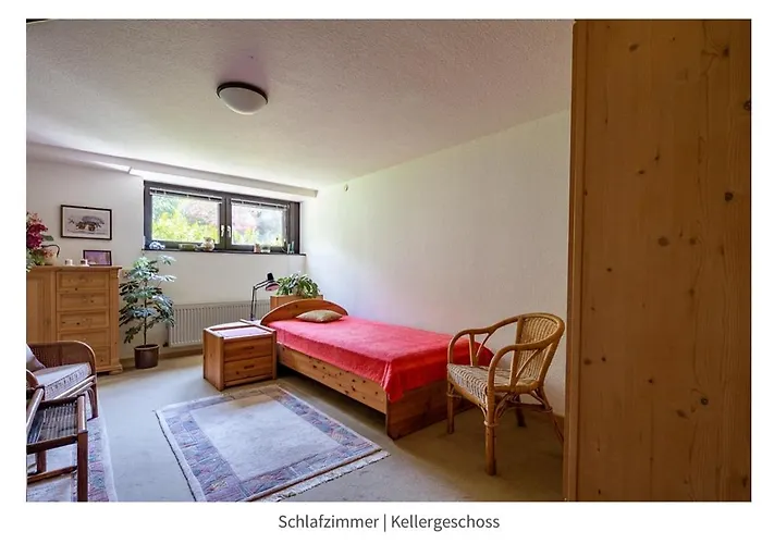 Cozy Basement Guest In Quietness 民宿