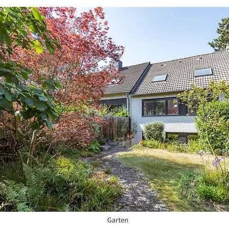 Cozy Basement Guest In Quietness